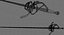 rapier