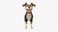 Cartoon Dog Rigged