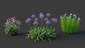 XfrogPlants Garden Flowers Pack 1