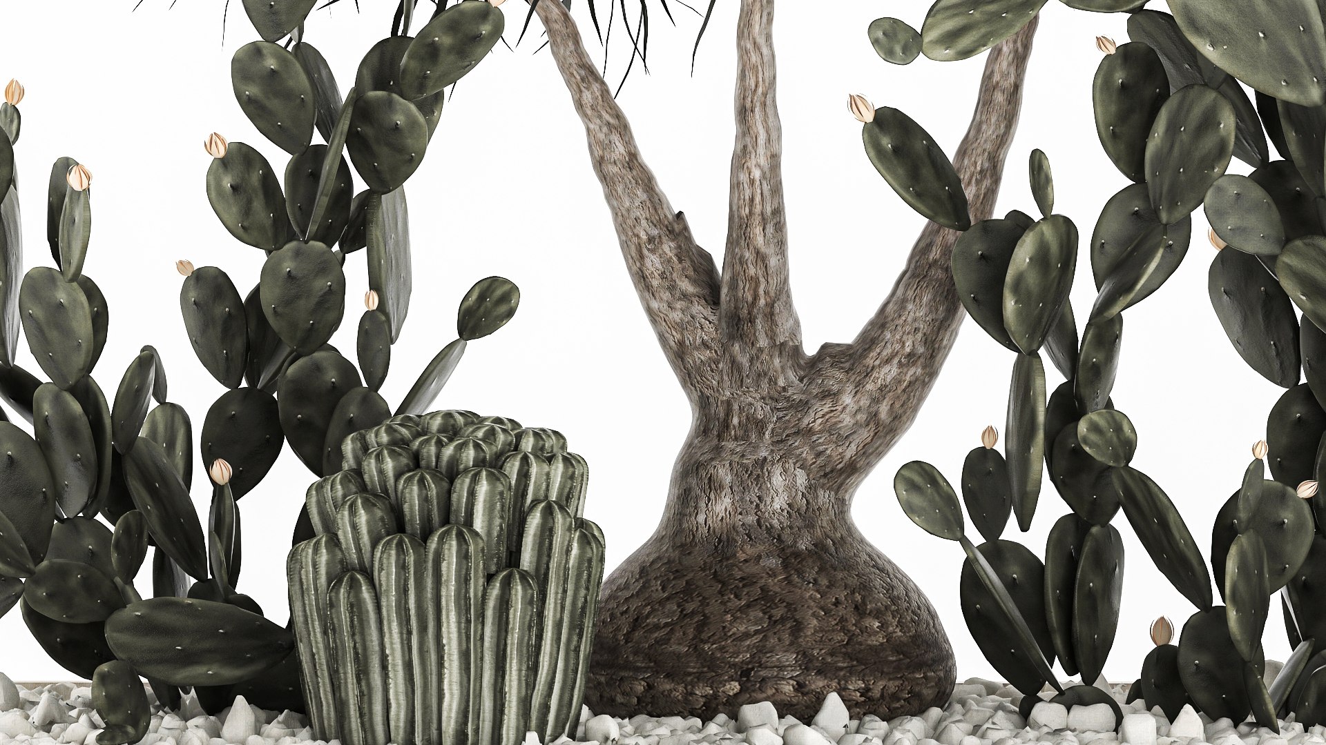 3D cactus collection in a concrete flowerpot 1102 https://p.turbosquid.com/ts-thumb/sc/B4tF23/Ou/1cactusset1801202205/jpg/1642600473/1920x1080/fit_q87/c16bfa1f031ee18540c03f7461c0a1388e3b8355/1cactusset1801202205.jpg