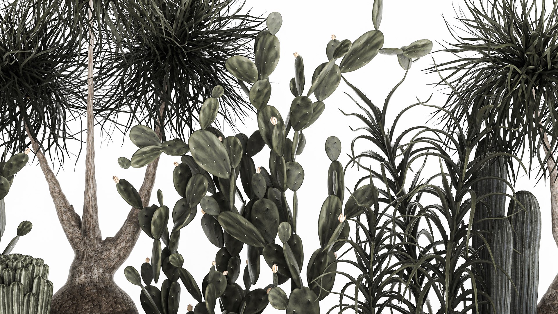 3D cactus collection in a concrete flowerpot 1102 https://p.turbosquid.com/ts-thumb/sc/B4tF23/em/1cactusset1801202204/jpg/1642600474/1920x1080/fit_q87/14e26f4f083a3bd0613131d4e75b4af5740e2bce/1cactusset1801202204.jpg