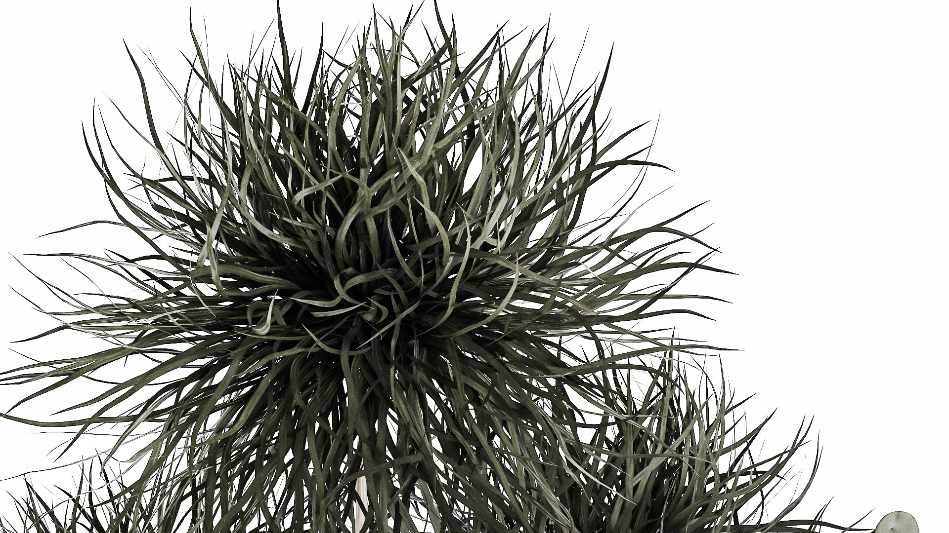 3D cactus collection in a concrete flowerpot 1102 https://p.turbosquid.com/ts-thumb/sc/B4tF23/ip/1cactusset1801202207/jpg/1642600470/1920x1080/fit_q87/601d9c1f88ef2332baa03cee648376dfe6b4785e/1cactusset1801202207.jpg