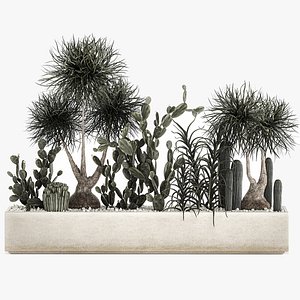 3D cactus collection in a concrete flowerpot 1102