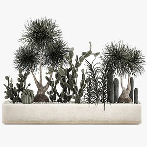 cactus collection in a concrete flowerpot 1102