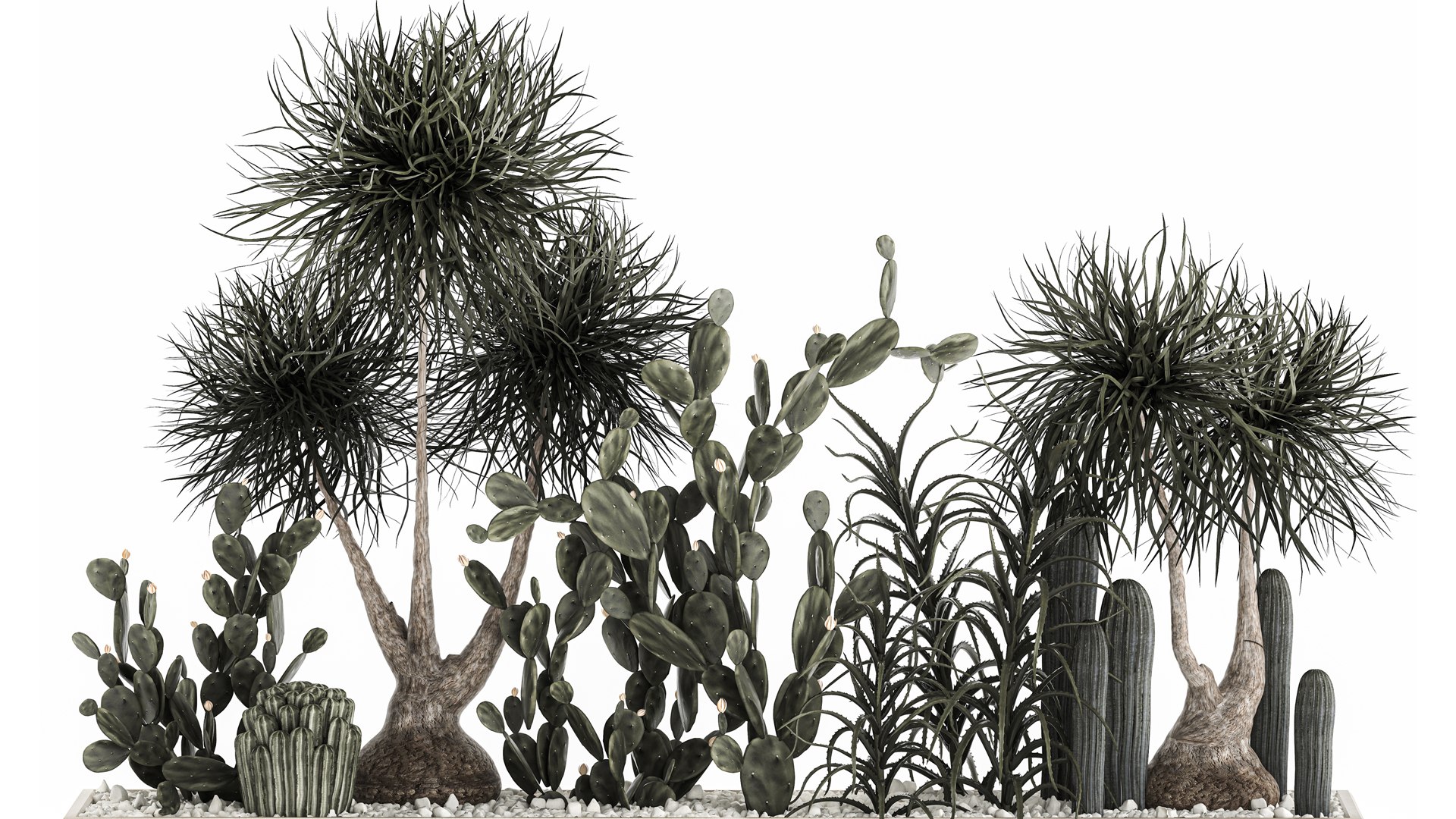 3D cactus collection in a concrete flowerpot 1102 https://p.turbosquid.com/ts-thumb/sc/B4tF23/nl/1cactusset1801202203/jpg/1642600474/1920x1080/fit_q87/7441fe9e12d0bc8a372109724417cb4516a6e829/1cactusset1801202203.jpg