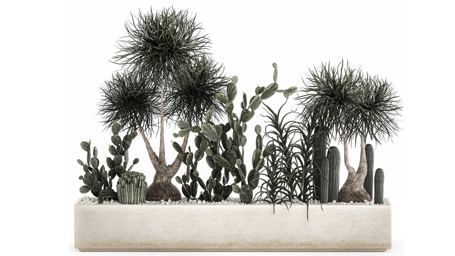 3D cactus collection in a concrete flowerpot 1102 https://p.turbosquid.com/ts-thumb/sc/B4tF23/rA/1cactusset1801202202/jpg/1642600469/1920x1080/fit_q87/e9ccc93b60ee965278ea816b8b3e8ef2fd6503e3/1cactusset1801202202.jpg