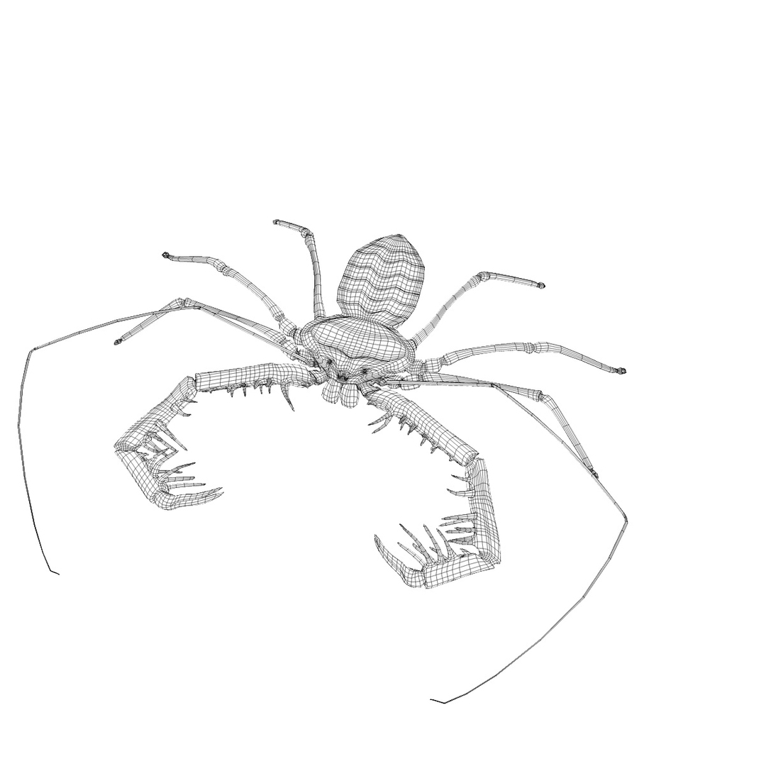 3d realistic tailless whip scorpion model https://p.turbosquid.com/ts-thumb/sc/BGRB1Z/826Sss5T/0000/jpg/1465158793/1920x1080/turn_fit_q99/ecac0cf70963b30eeced9eeac3eeb02496d792e7/0000-1.jpg