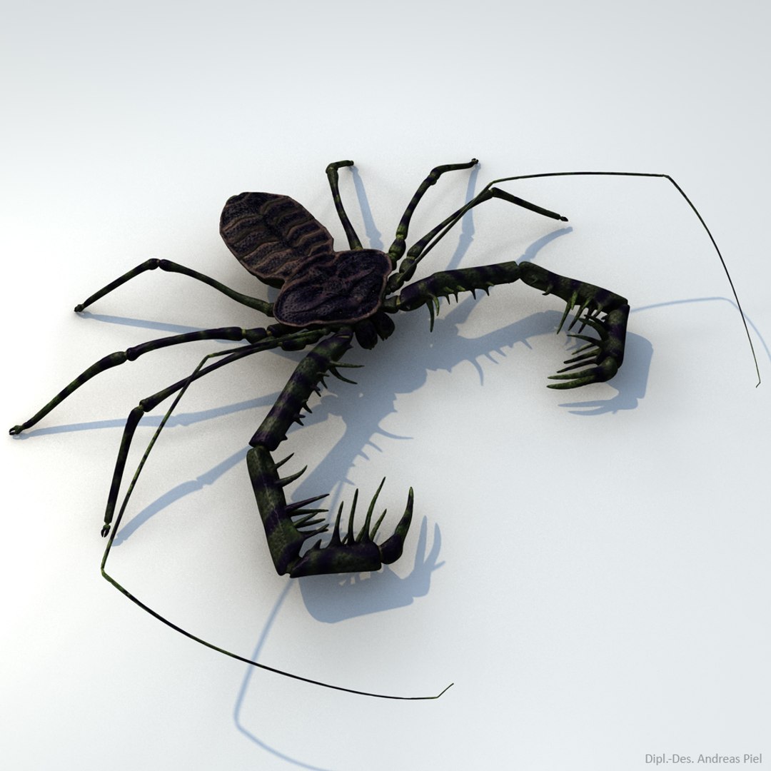 3d realistic tailless whip scorpion model https://p.turbosquid.com/ts-thumb/sc/BGRB1Z/JWXgvBDt/tailless_whip_scorpion_3d_model_by_andreas_piel_004/jpg/1424268592/1920x1080/fit_q87/8d120bf5aa18234121fb940dd61ad5799180743d/tailless_whip_scorpion_3d_model_by_andreas_piel_004.jpg