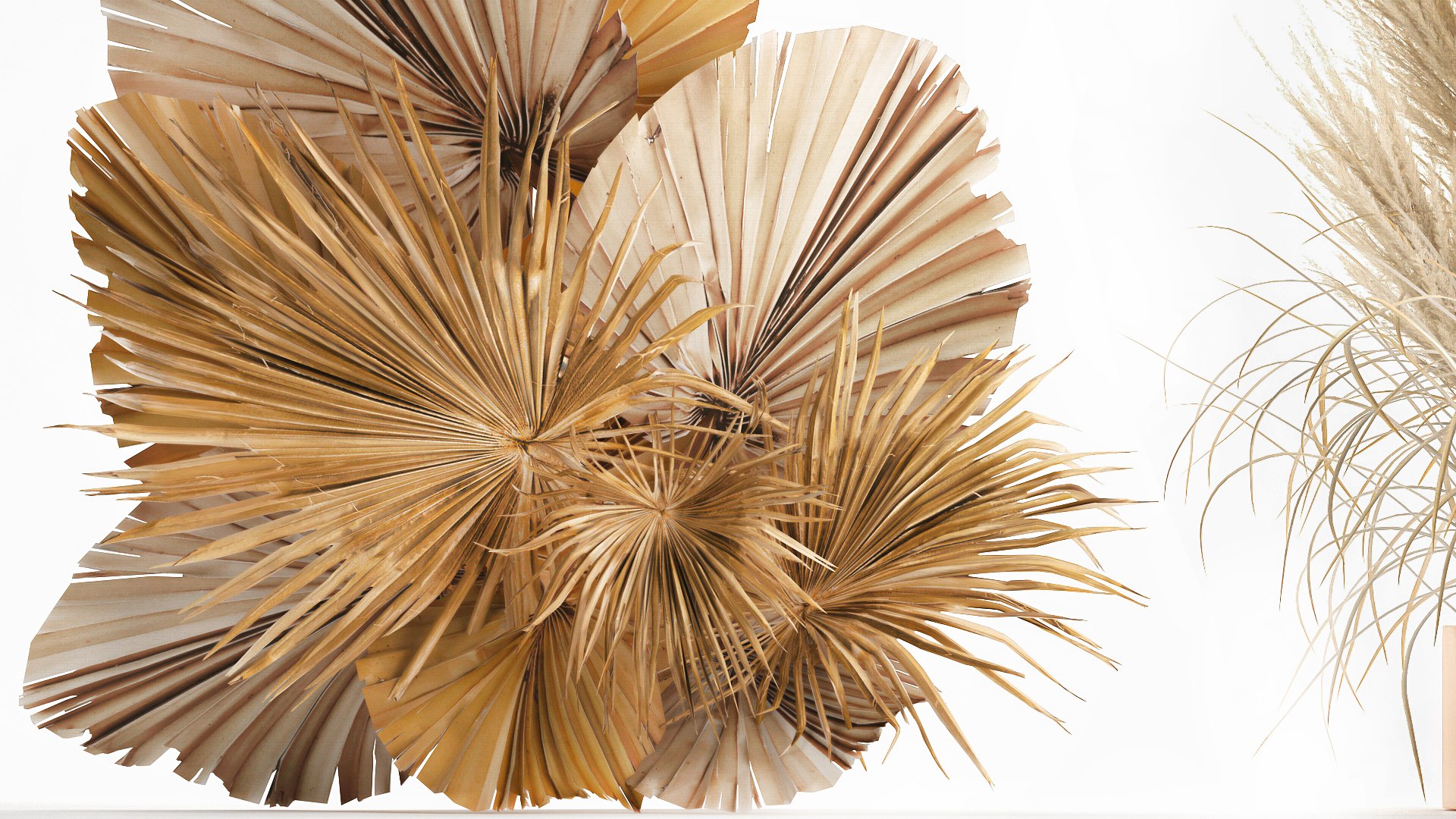 3D Wedding Arch Made Of Dry Reeds And Palm Leaves For Decor 1062 ...