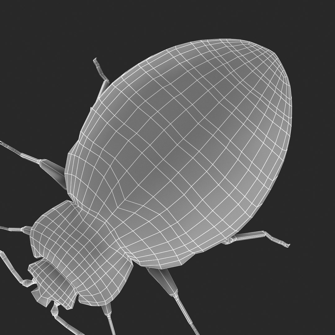 3d model of bed bug https://p.turbosquid.com/ts-thumb/sc/IVKRSc/0pnzspdq/bedbug_31/jpg/1385991931/1920x1080/fit_q87/d818f3b927c1e7c62ed9b939079007a59cebfd99/bedbug_31.jpg