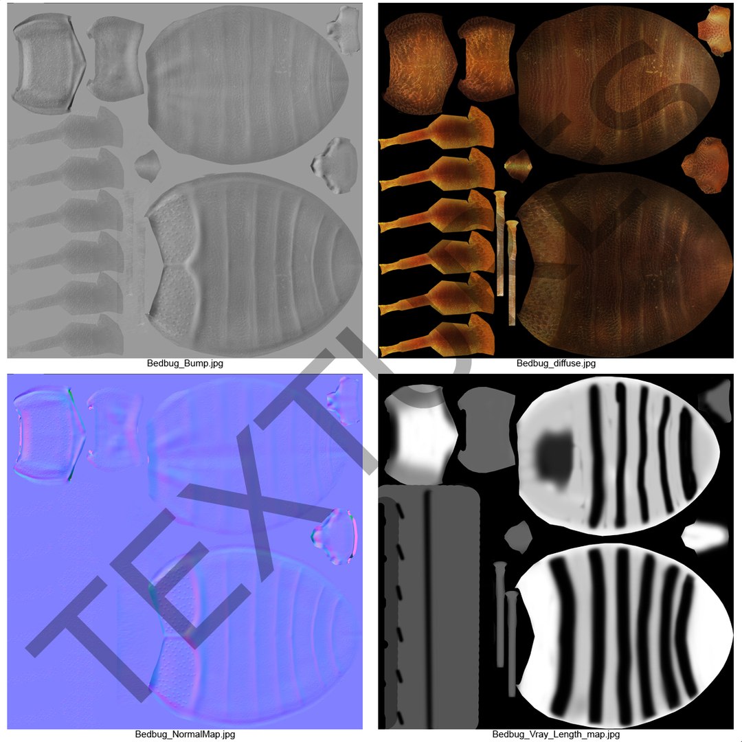 3d model of bed bug https://p.turbosquid.com/ts-thumb/sc/IVKRSc/b2GdGLSm/bedbug_4/jpg/1385991842/1920x1080/fit_q87/c5394b52f3507330e3a2a1499aecb53dc72cd15f/bedbug_4.jpg