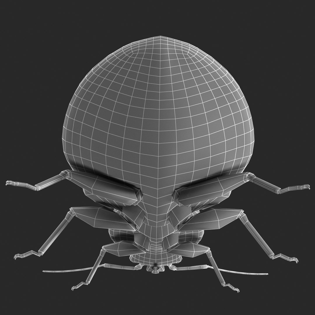 3d model of bed bug https://p.turbosquid.com/ts-thumb/sc/IVKRSc/lXdWbwpr/bedbug_25/jpg/1385991915/1920x1080/fit_q87/9f1acc9ab501b6f0c65e1b3cf2dfb7516e97e059/bedbug_25.jpg