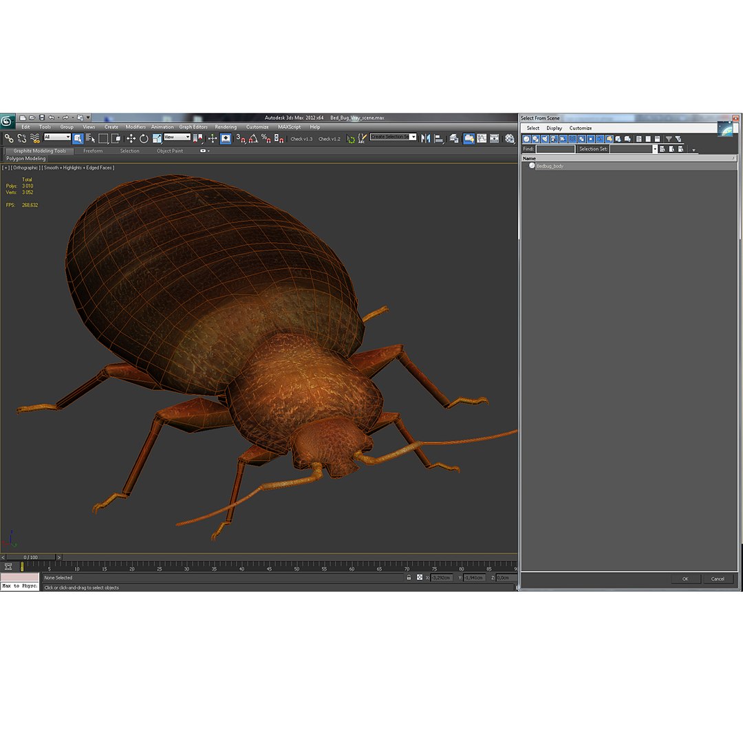 3d model of bed bug https://p.turbosquid.com/ts-thumb/sc/IVKRSc/nJ9Ilz1E/bedbug_5/jpg/1385991845/1920x1080/fit_q87/5045aa8afe4ae9c6eda7992a7e52270719eb6415/bedbug_5.jpg