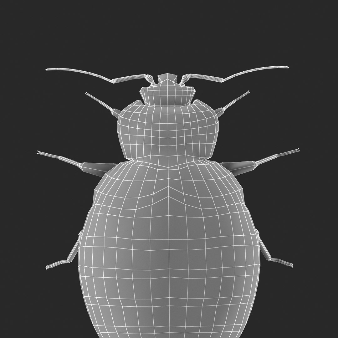 3d model of bed bug https://p.turbosquid.com/ts-thumb/sc/IVKRSc/nVdVUkTd/bedbug_29/jpg/1385991925/1920x1080/fit_q87/c7a90c46a00395c984fa591092ee71e4e2204dd7/bedbug_29.jpg