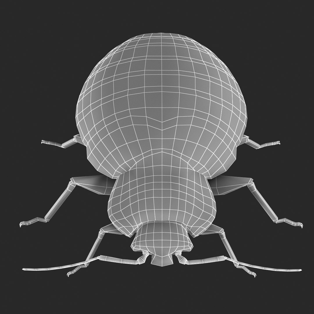3d model of bed bug https://p.turbosquid.com/ts-thumb/sc/IVKRSc/wNSskzEm/bedbug_23/jpg/1385991909/1920x1080/fit_q87/899b529404fcf1b964cdea3a13fa35ba81acec02/bedbug_23.jpg