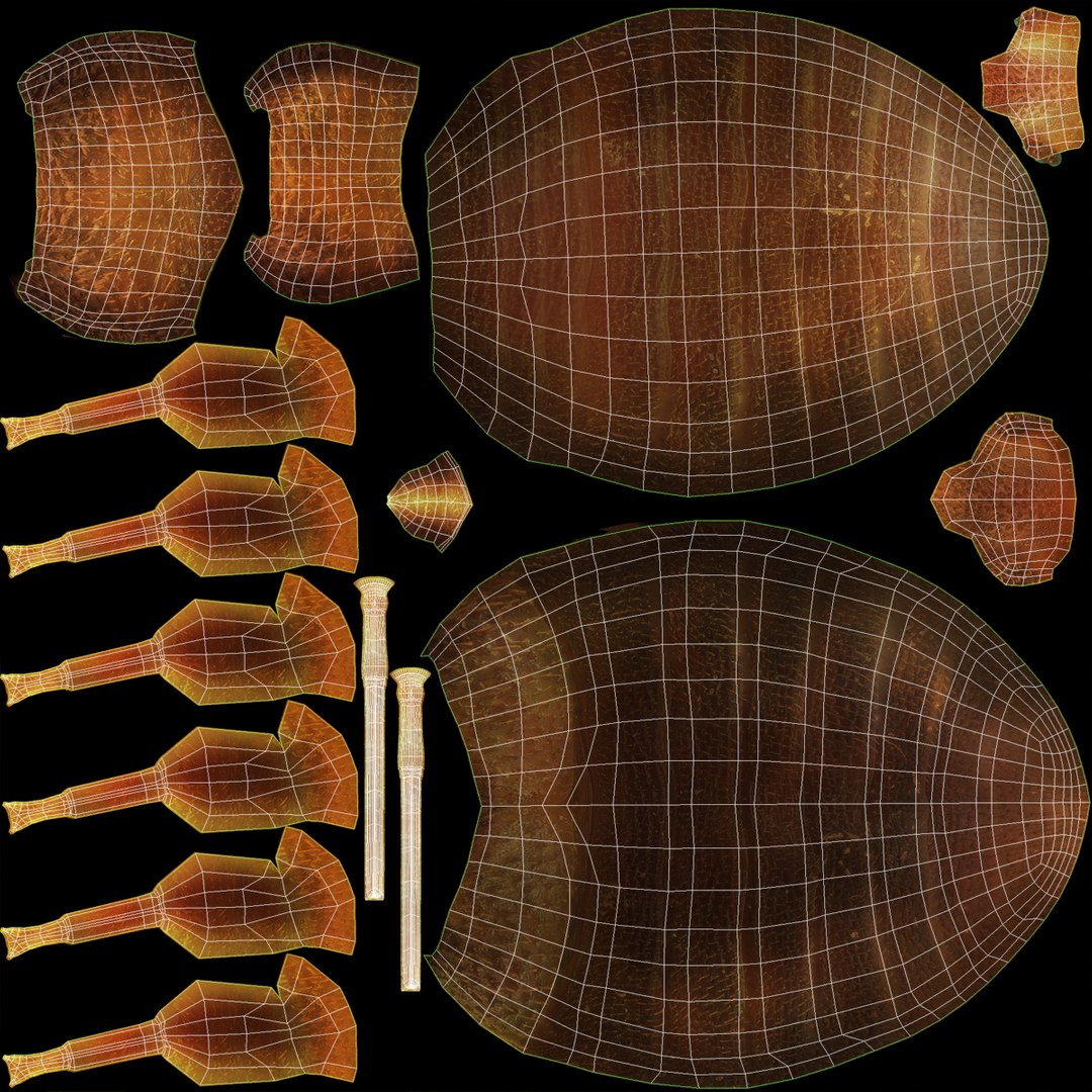 3d model of bed bug https://p.turbosquid.com/ts-thumb/sc/IVKRSc/xDycEdby/bedbug_3/jpg/1385991839/1920x1080/fit_q87/73e70629fa3ff37d43957e4001148cc76723afa3/bedbug_3.jpg