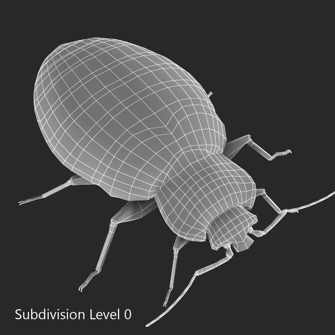 3d model of bed bug https://p.turbosquid.com/ts-thumb/sc/IVKRSc/yUnR7h2K/bedbug_6/jpg/1385991848/1920x1080/fit_q87/a0b5484e377c8af0d263bfb4f9106c226f07c253/bedbug_6.jpg