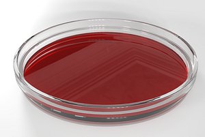 Petri Dish with Blood PBR 3 model