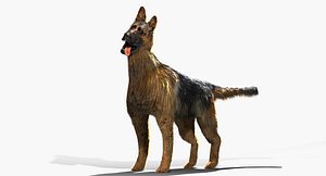 max dog