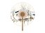 Chinese traditional Round fan