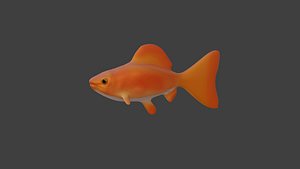 fish goldfish model