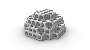 Smooth Bones Structure model