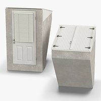 Basement Entrance with Roof Hatch