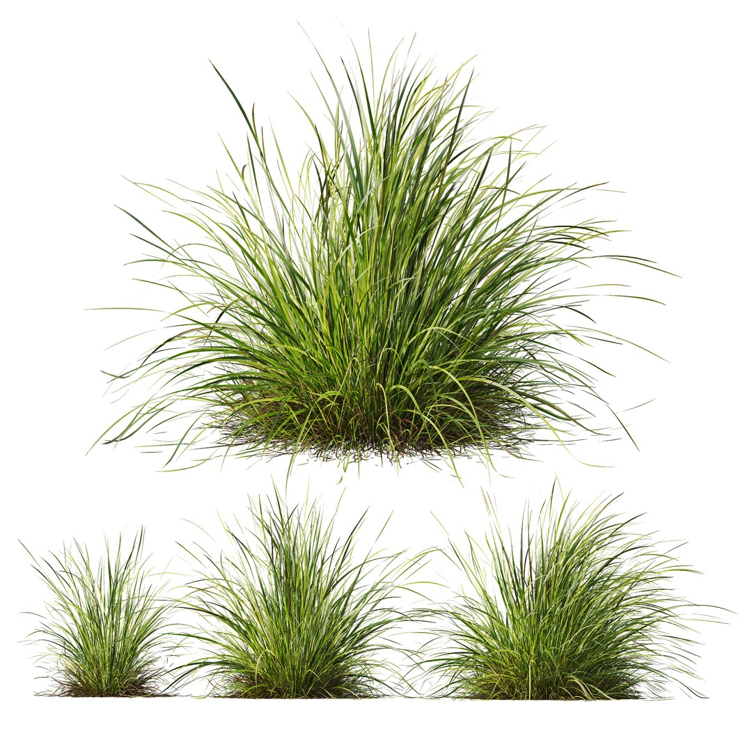 6 Different SETS of Grass SET VOL04 3D model https://p.turbosquid.com/ts-thumb/sc/nGgukN/6Q/z01/jpg/1694978106/1920x1080/fit_q87/a8c90440643144ca6734241e55b82f383843af51/z01.jpg
