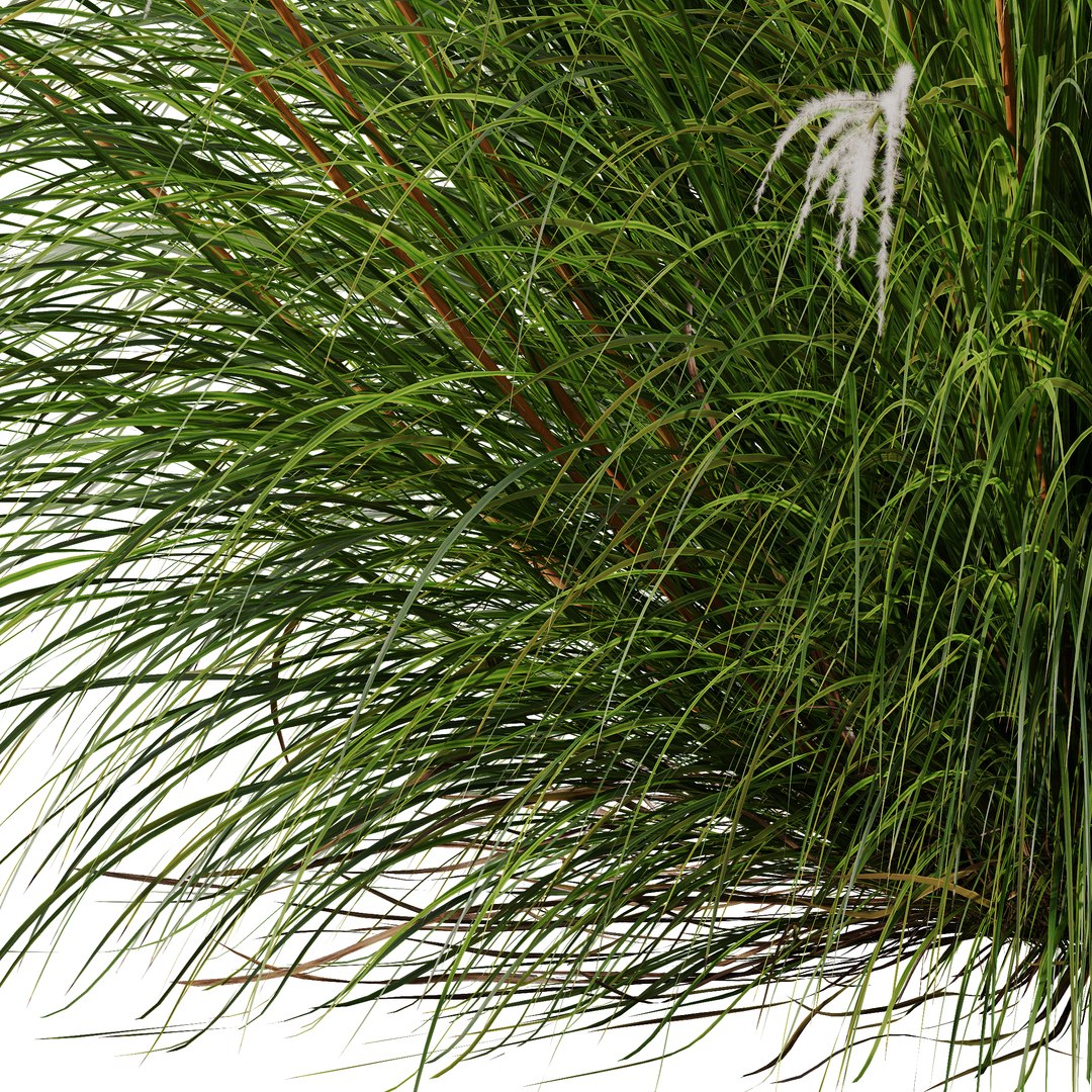 6 Different SETS of Grass SET VOL04 3D model https://p.turbosquid.com/ts-thumb/sc/nGgukN/93/z024/jpg/1694978119/1920x1080/fit_q87/09a301527f38113f0d0366b201a9e72195507e65/z024.jpg