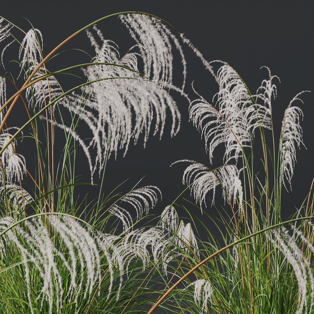 6 Different SETS of Grass SET VOL04 3D model https://p.turbosquid.com/ts-thumb/sc/nGgukN/Jt/z035/jpg/1694978124/1920x1080/fit_q87/16705b3e688ac817e5c89392c8e0fb479adeac85/z035.jpg