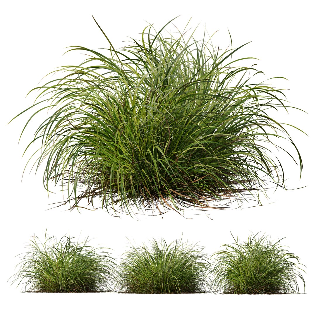 6 Different SETS of Grass SET VOL04 3D model https://p.turbosquid.com/ts-thumb/sc/nGgukN/KP/z03/jpg/1694978109/1920x1080/fit_q87/fdb38b7c3995a6c0614d6224f168e0c3a8a1c111/z03.jpg