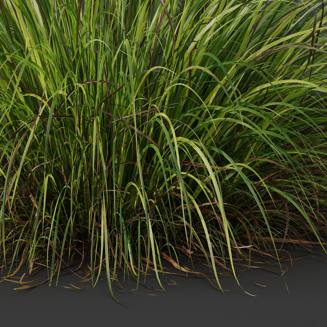 6 Different SETS of Grass SET VOL04 3D model https://p.turbosquid.com/ts-thumb/sc/nGgukN/M6/z023/jpg/1694978118/1920x1080/fit_q87/45c379c85c79a4a3ff98274a3357ebbe4bc032c8/z023.jpg