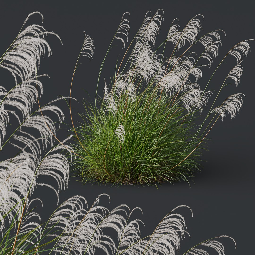 6 Different SETS of Grass SET VOL04 3D model https://p.turbosquid.com/ts-thumb/sc/nGgukN/OR/z041/jpg/1694978125/1920x1080/fit_q87/3a2eab6a0e7bab88fbdede15359ad1f67a2a6db7/z041.jpg