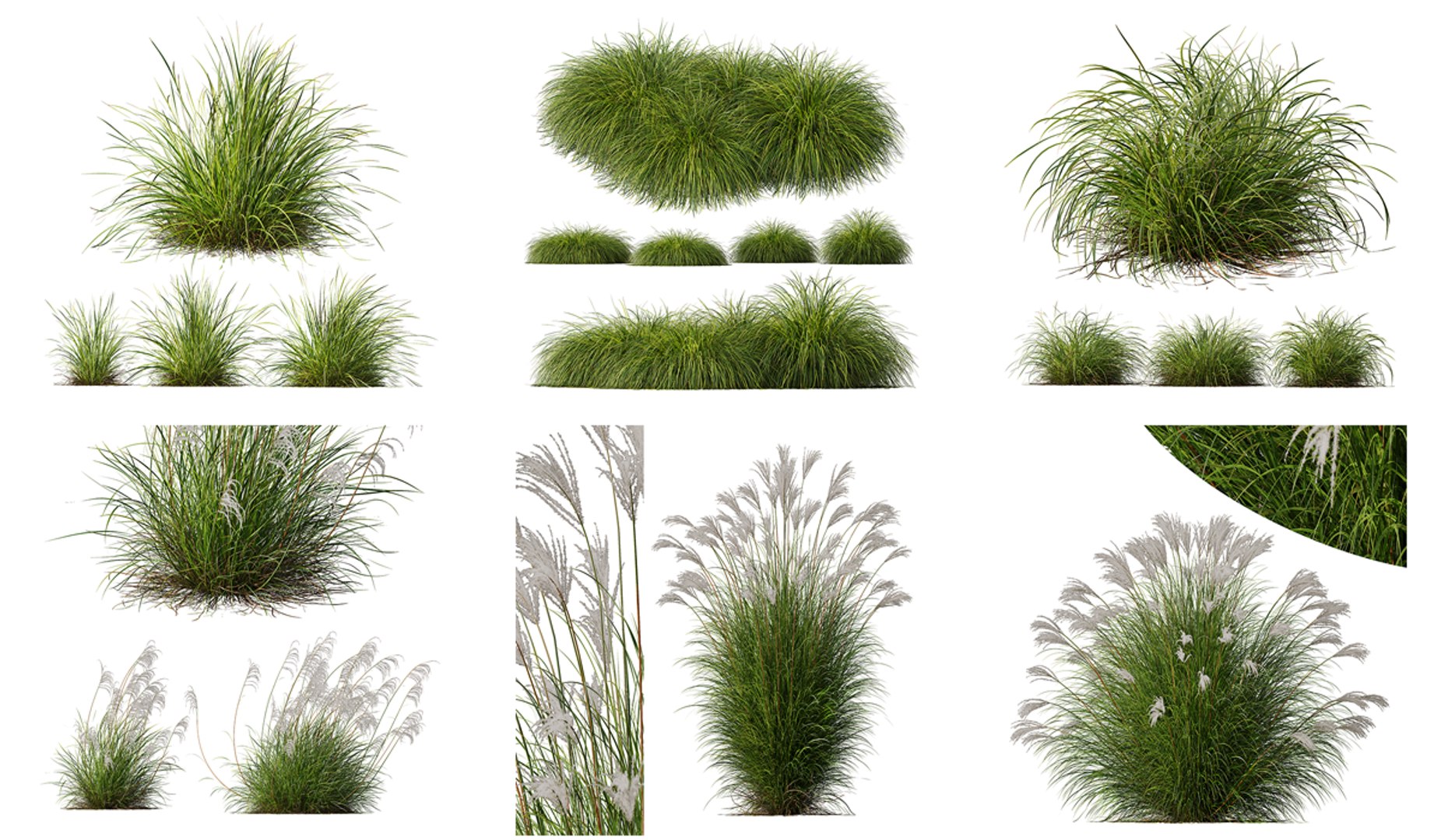 6 Different SETS of Grass SET VOL04 3D model - TurboSquid 2126346