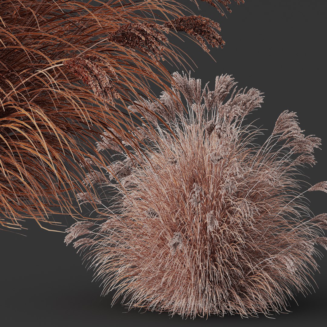 6 Different SETS of Grass SET VOL04 3D model https://p.turbosquid.com/ts-thumb/sc/nGgukN/cs/z04/jpg/1694957121/1920x1080/fit_q87/310bc730e3e355ff1c0fe79e105517f1e604a205/z04.jpg