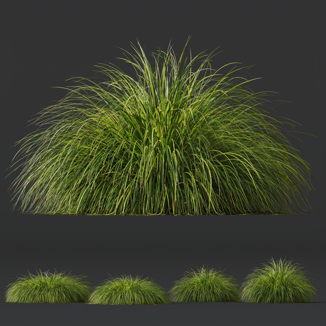 6 Different SETS of Grass SET VOL04 3D model https://p.turbosquid.com/ts-thumb/sc/nGgukN/eM/z032/jpg/1694978121/1920x1080/fit_q87/ef8fec725b9fcd6d4f0ca6884b5346edee4fd9cf/z032.jpg