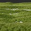 6 Different SETS of Grass SET VOL04