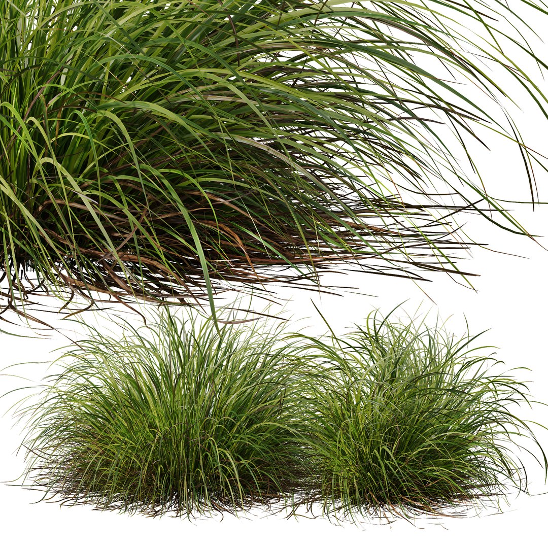 6 Different SETS of Grass SET VOL04 3D model https://p.turbosquid.com/ts-thumb/sc/nGgukN/jO/z042/jpg/1694978126/1920x1080/fit_q87/fc5580de1373b4b4a80f01b45296250f9b4deb6a/z042.jpg