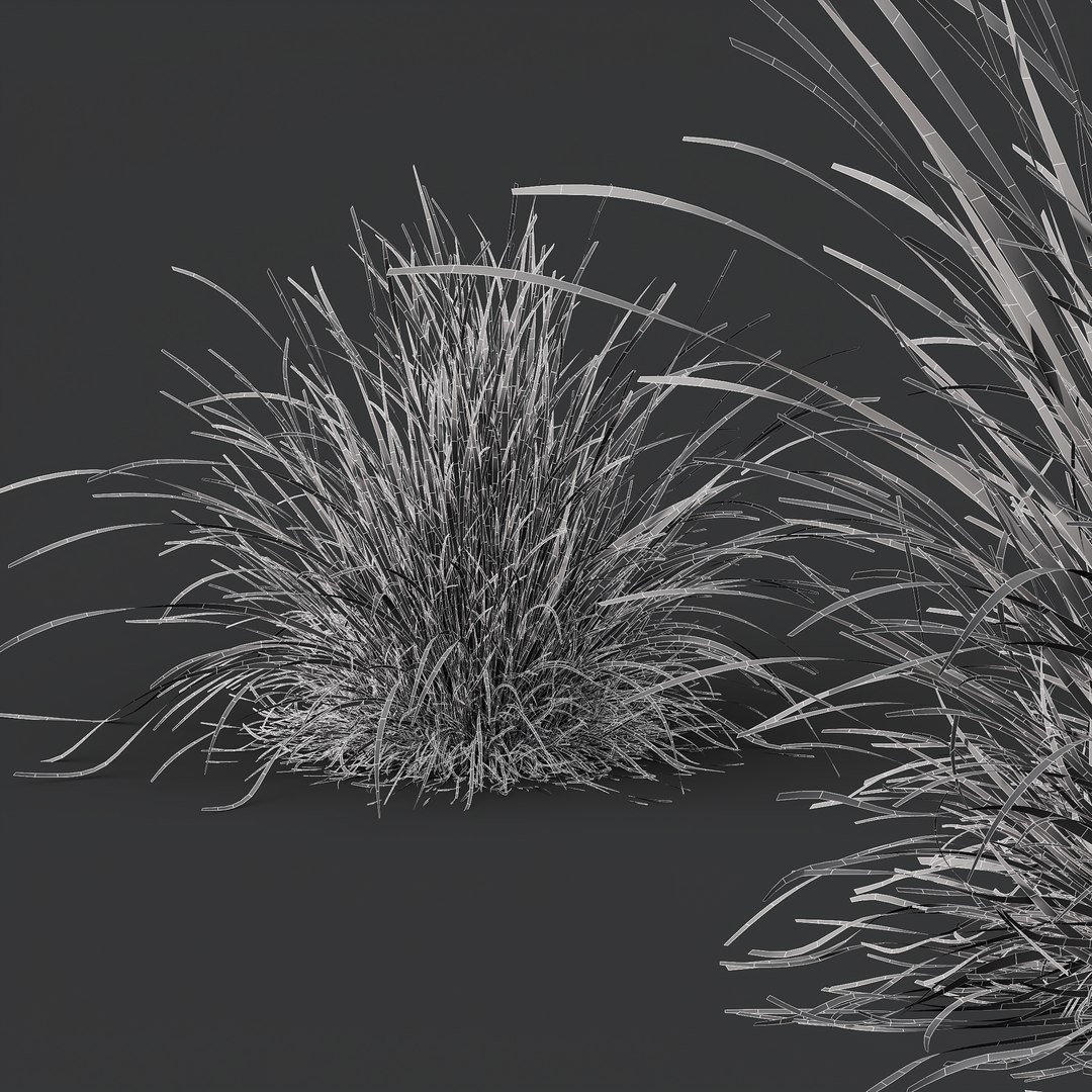 6 Different SETS of Grass SET VOL04 3D model https://p.turbosquid.com/ts-thumb/sc/nGgukN/lD/z05/png/1694286747/1920x1080/fit_q87/f15c1228b7028ca4d0a4e788f00946f02ea22ff3/z05.jpg