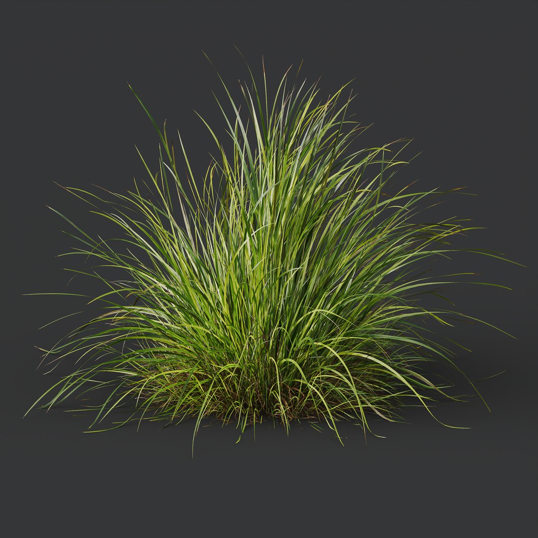 6 Different SETS of Grass SET VOL04 3D model https://p.turbosquid.com/ts-thumb/sc/nGgukN/nH/z033/jpg/1694978122/1920x1080/fit_q87/ca8707d6cfd38d92ee2cd41a342b93556e796239/z033.jpg