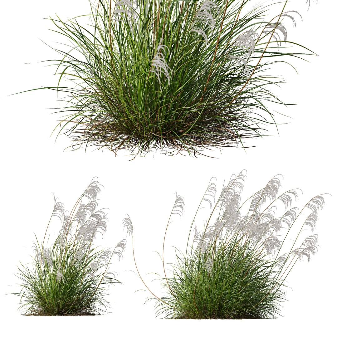 6 Different SETS of Grass SET VOL04 3D model https://p.turbosquid.com/ts-thumb/sc/nGgukN/t9/z004/jpg/1694978113/1920x1080/fit_q87/69858f29451ec5cf7e9a11cdb5784dca19b9ff41/z004.jpg