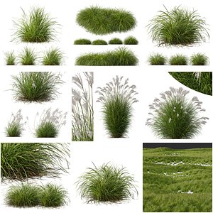 6 Different SETS of Grass SET VOL04 3D model