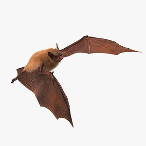 max bat fur rigged