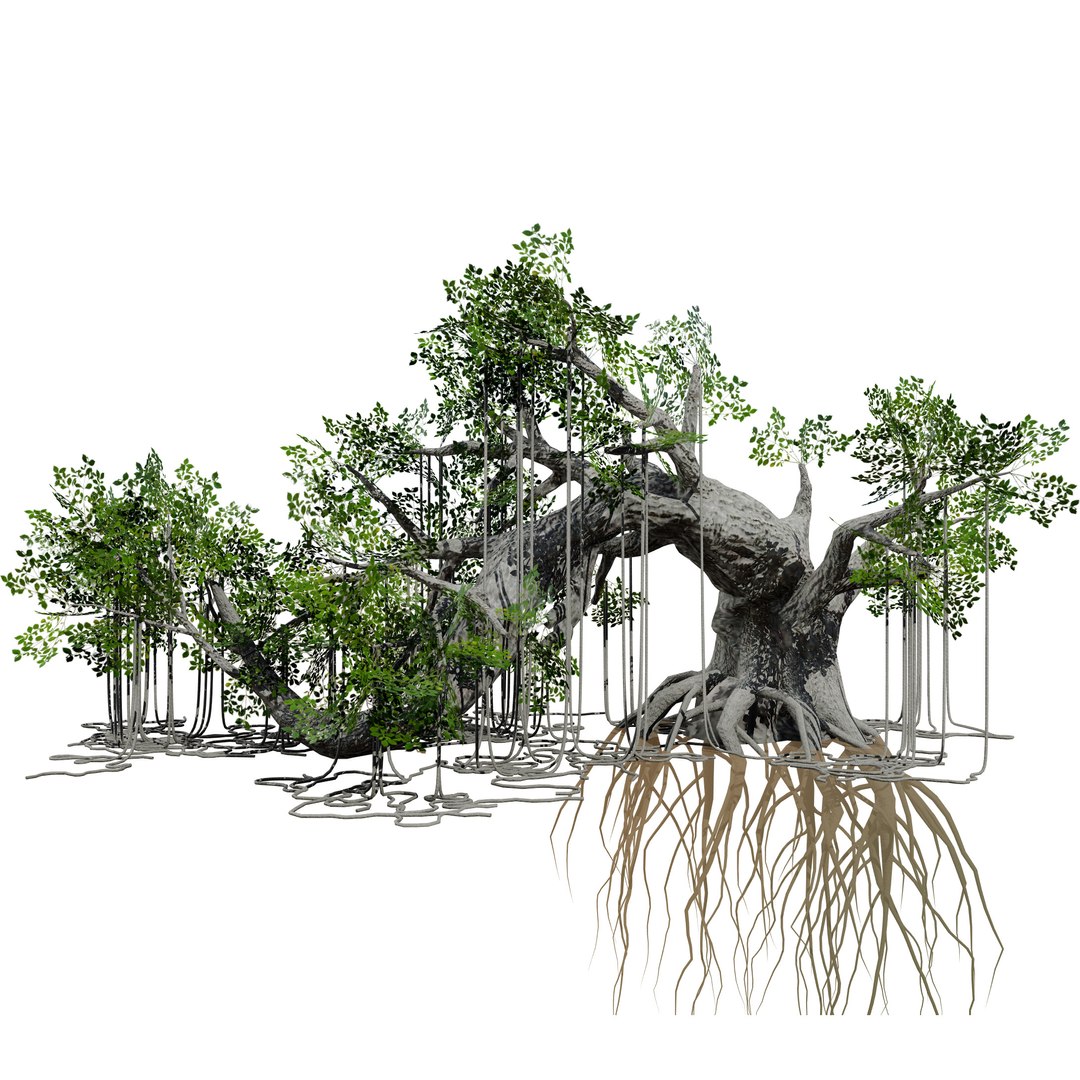3D Realistic Jungle Tree model https://p.turbosquid.com/ts-thumb/sd/IPvVuh/Ps/riggedtree/jpg/1725914137/1920x1080/fit_q87/13b8efd5d0d1fe65aec7ae51ec12b622eabc7351/riggedtree.jpg