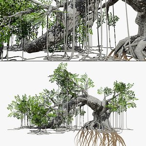 Realistic Jungle Tree