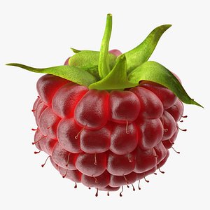 Red Raspberry Fur
