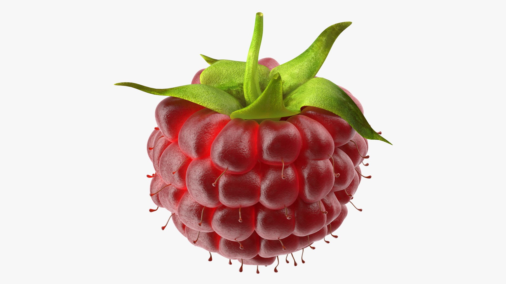 Red Raspberry Fur 3D model preview