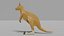 australian animals 3D