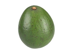 3D photorealistic scanned avocado