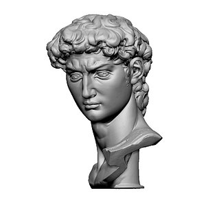 David Bust by Michelangelo 3D
